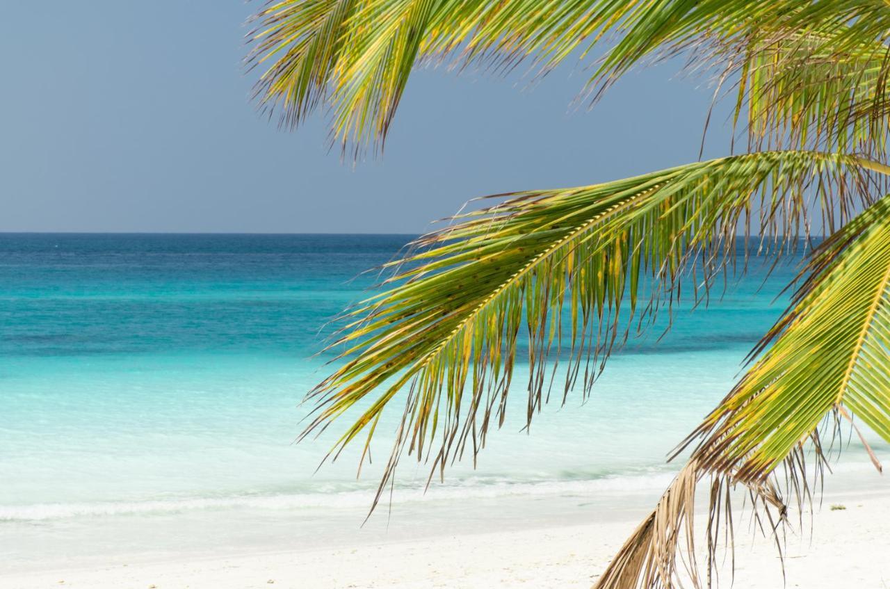 Tikitam Palms Boutique Hotel Pongwe Exteriér fotografie